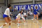Volleyball vs RWU  Wheaton Women’s Volleyball vs Roger Williams University. : Volleyball, VB